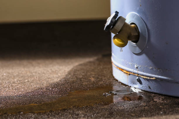 Best Fire Damage Restoration  in Decorah, IA