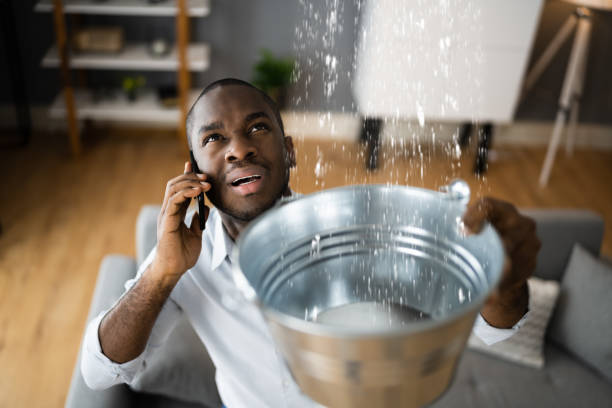Best Water damage repair service  in Decorah, IA