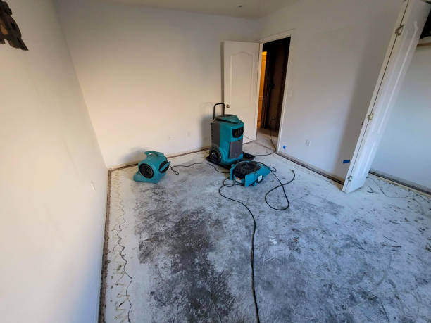 Best Emergency water damage restoration  in Decorah, IA